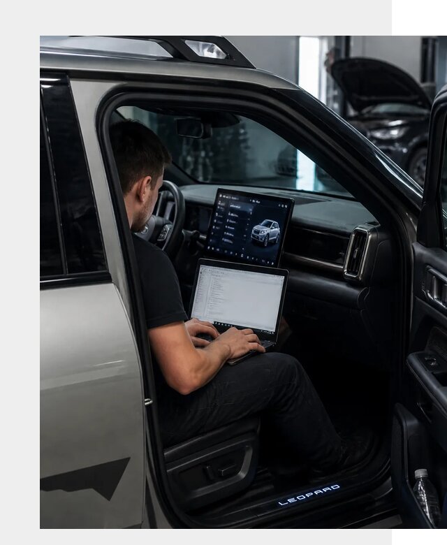 Русификация BYD Leopard 3 в Нальчике по цене от 20622 р. | ФастМобиль-Нль